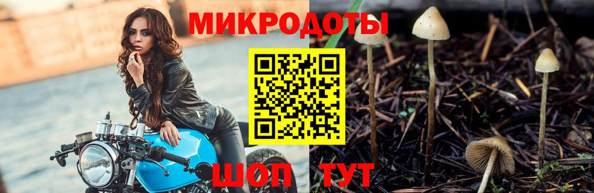 что такое   Псилоцибиновые грибы прущие грибы  Вход с VPN  Михайловка  Галлюциногенные грибы ЛСД 